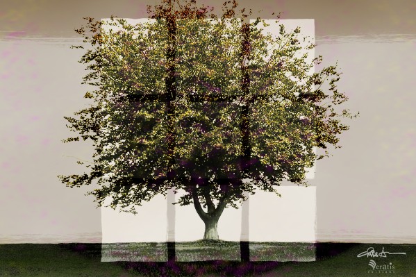 Window2 on a Green Tree 3x2 by Veratis Editions